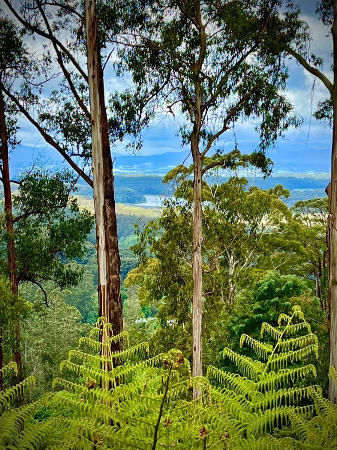 Melbourne Topview Villa In Dandenong Ranges Near Skyhigh Kalorama Esterno foto