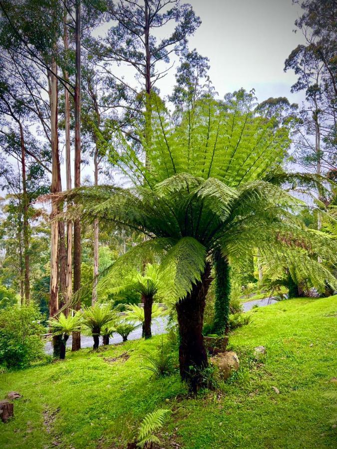 Melbourne Topview Villa In Dandenong Ranges Near Skyhigh Kalorama Esterno foto