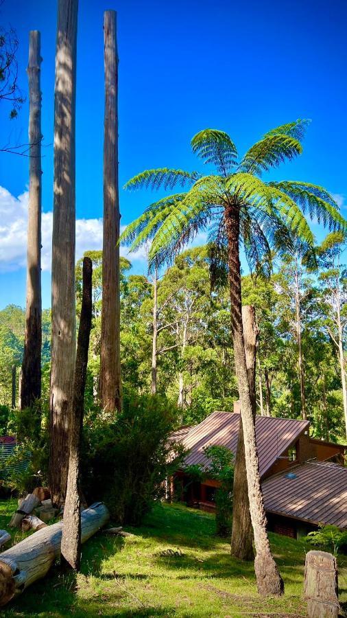Melbourne Topview Villa In Dandenong Ranges Near Skyhigh Kalorama Esterno foto