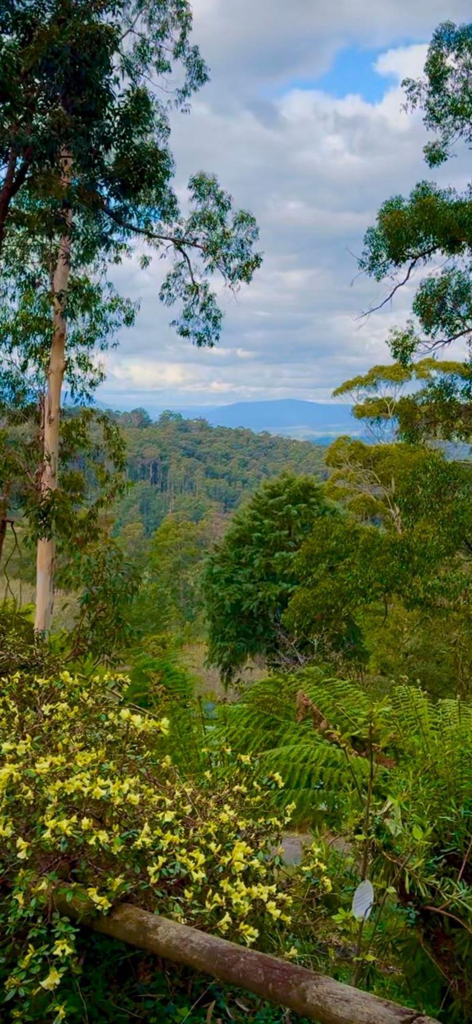 Melbourne Topview Villa In Dandenong Ranges Near Skyhigh Kalorama Esterno foto