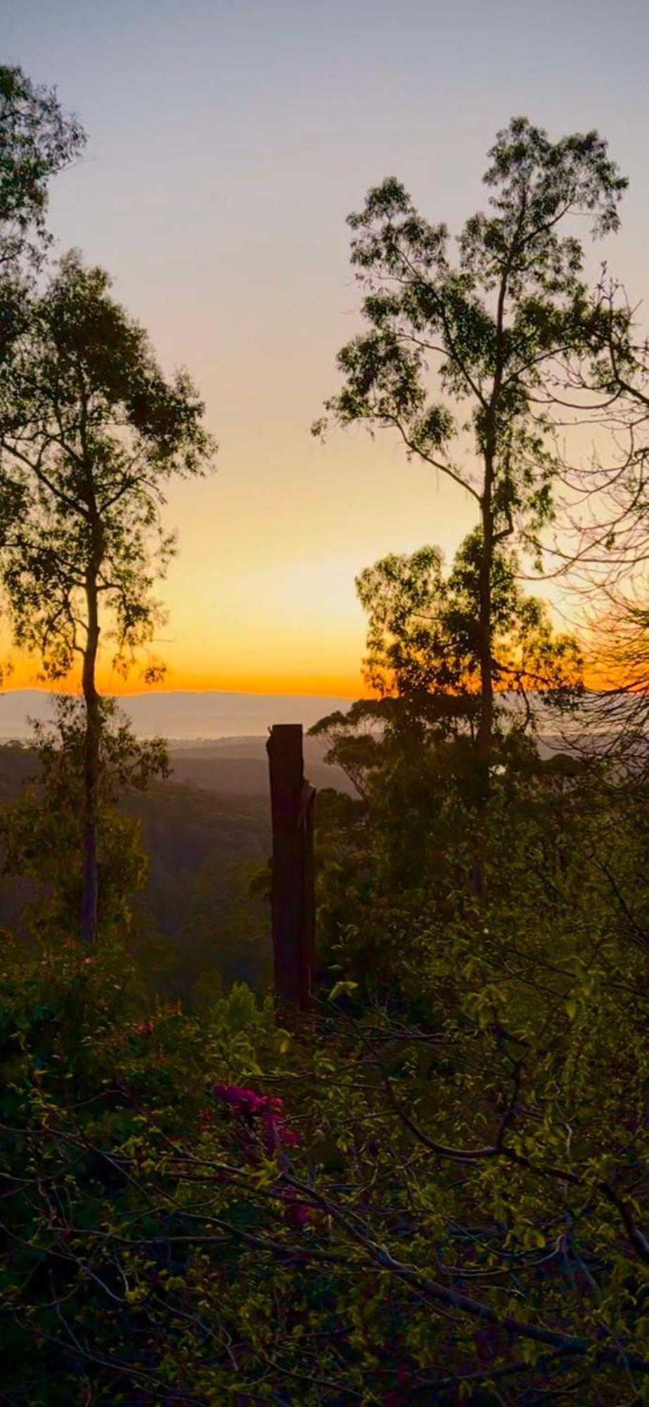 Melbourne Topview Villa In Dandenong Ranges Near Skyhigh Kalorama Esterno foto