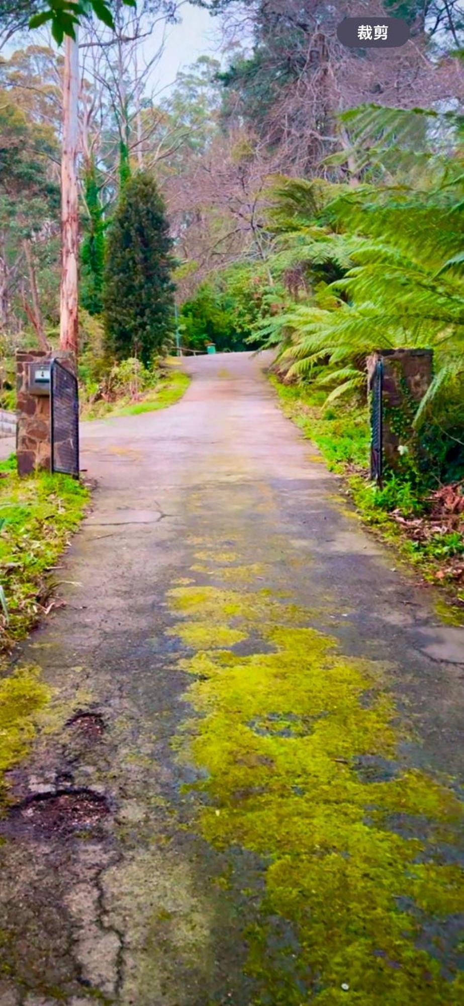 Melbourne Topview Villa In Dandenong Ranges Near Skyhigh Kalorama Esterno foto